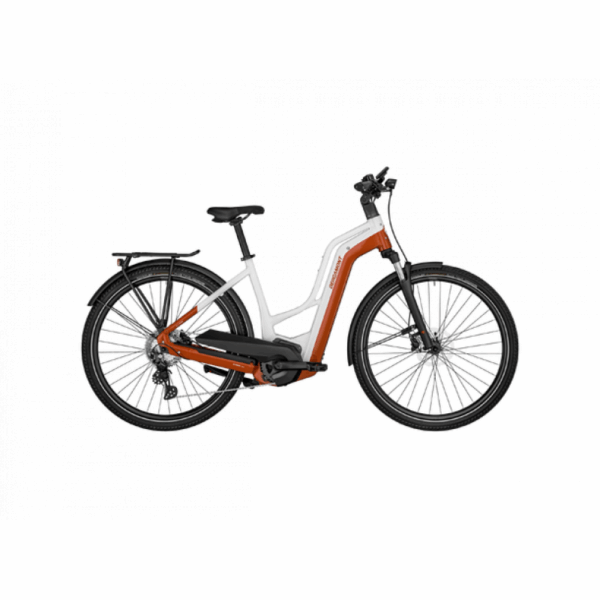 Bergamont BERGAMONT Bike E-Horizon Edition LTD Ams Sykkelopplevelser AS 1