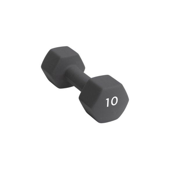 Abilica Abilica Dumbbell 10 Kg 374284 Sykkelopplevelser AS 1