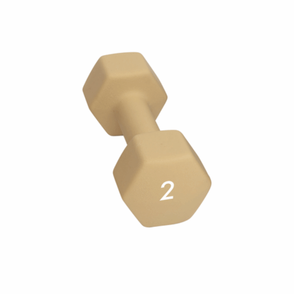 Abilica Abilica Dumbbell 2 Kg 374276 Sykkelopplevelser AS 1