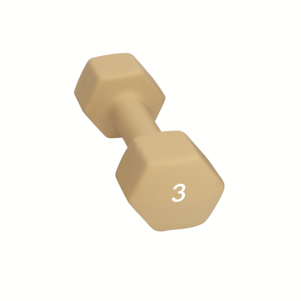 Abilica Abilica Dumbbell 3 Kg 374277 Sykkelopplevelser AS 1