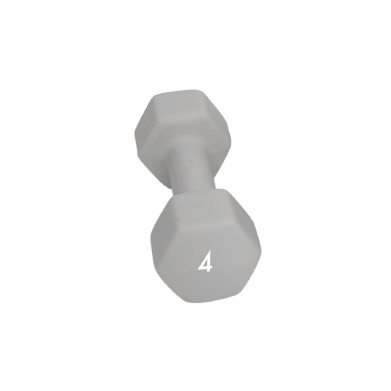 Abilica Abilica Dumbbell 4 Kg 374278 Sykkelopplevelser AS 1