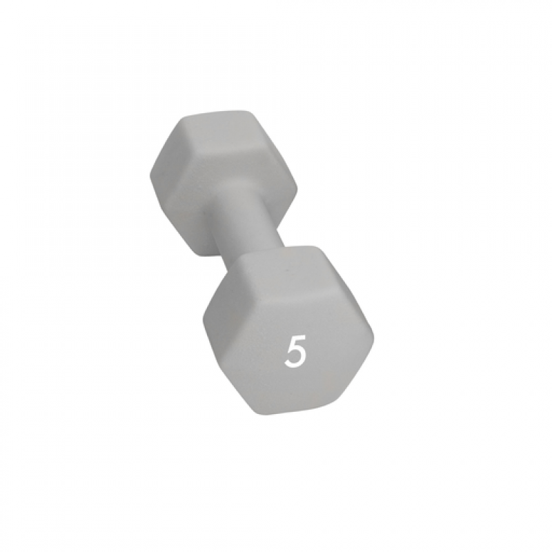 Abilica Abilica Dumbbell 5 Kg 374279 Sykkelopplevelser AS 1