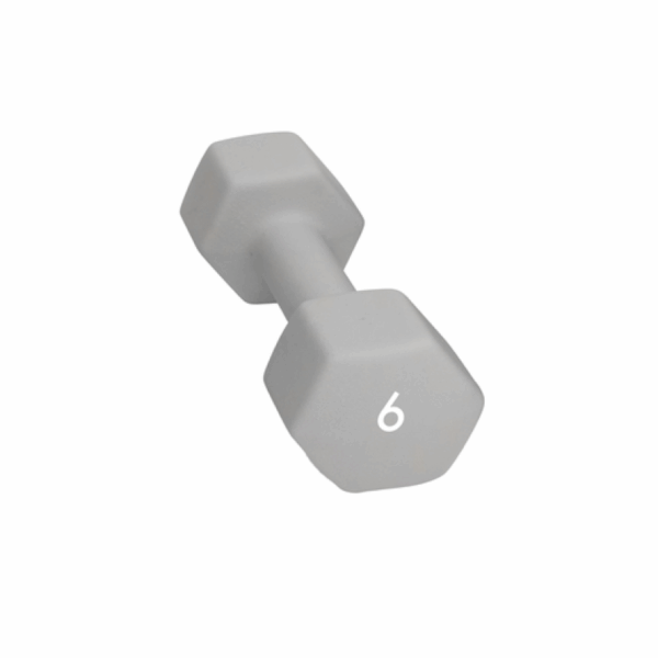 Abilica Abilica Dumbbell 6 Kg 374280 Sykkelopplevelser AS 1