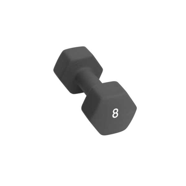 Abilica Abilica Dumbbell 8 Kg 374282 Sykkelopplevelser AS 1