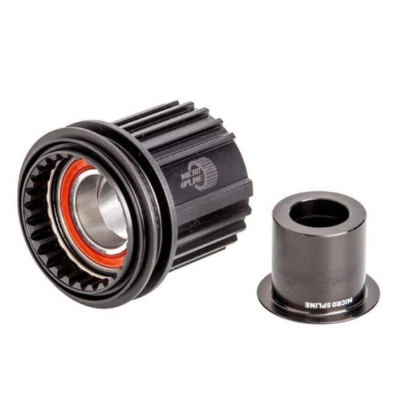 DT Swizz Freehub body Shimano Micro spline (SS12) Ratchet, Material: Steel, Standard version, Kit Sykkelopplevelser AS 1